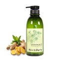 Rasa Sayang Aromatherapy Oil Ginger